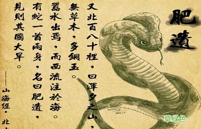 为什么有的人皈依了还那么多问题？