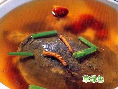 新鲜的冬虫夏草要煮多久 冬虫夏草煮多久最好
