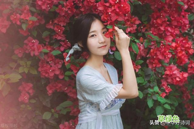 踏雪寻梅，迎春早归 沁跟什么词