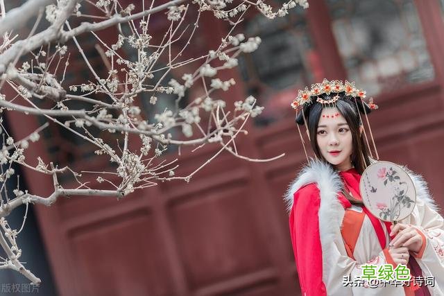 踏雪寻梅，迎春早归 沁跟什么词