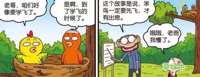 呆头农场：母刺猬吃醋仙人掌都不放过！呆头：女生吃醋太可怕了… 母刺猬名字