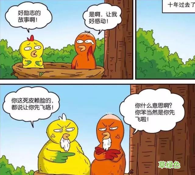 呆头农场：母刺猬吃醋仙人掌都不放过！呆头：女生吃醋太可怕了… 母刺猬名字