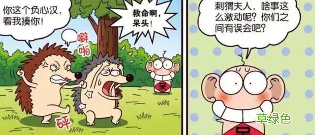 呆头农场：母刺猬吃醋仙人掌都不放过！呆头：女生吃醋太可怕了… 母刺猬名字