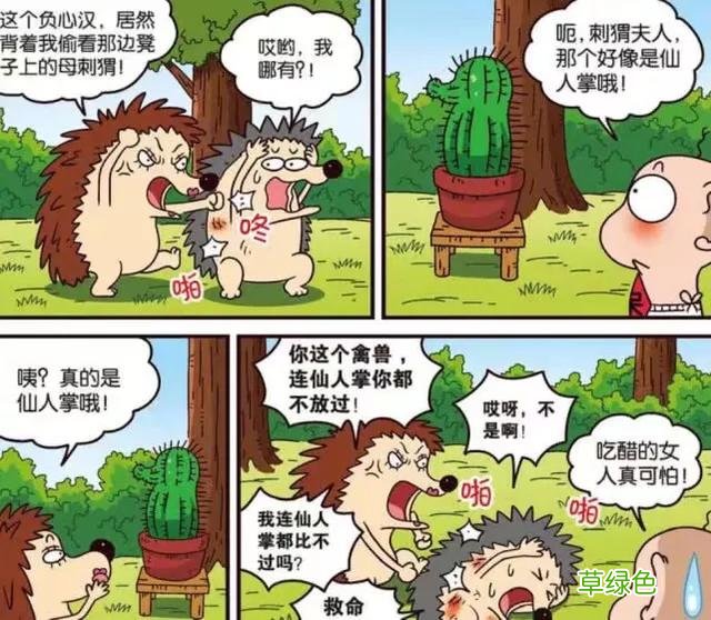 呆头农场：母刺猬吃醋仙人掌都不放过！呆头：女生吃醋太可怕了… 母刺猬名字