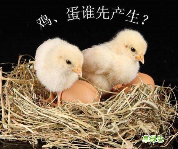 先有鸡还是先有蛋最新正确答案出来了
