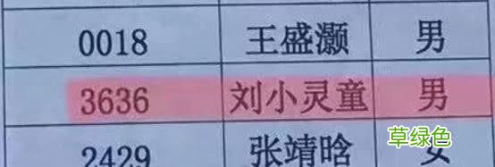 这届父母太走心了！给孩子起名“李锁铛然”“程门立雪” 然做名字