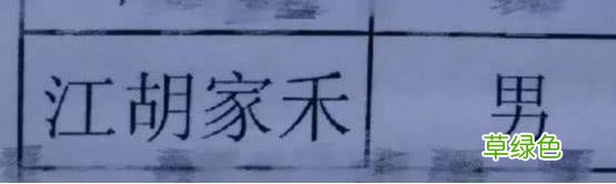 这届父母太走心了！给孩子起名“李锁铛然”“程门立雪” 然做名字