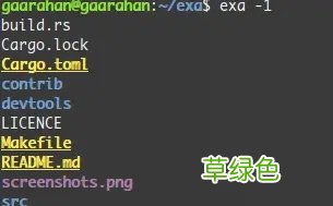 比ls更好的展示文件体验 linux exa命令