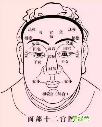 做善事积阴德脸上留下的痕迹——阴骘纹