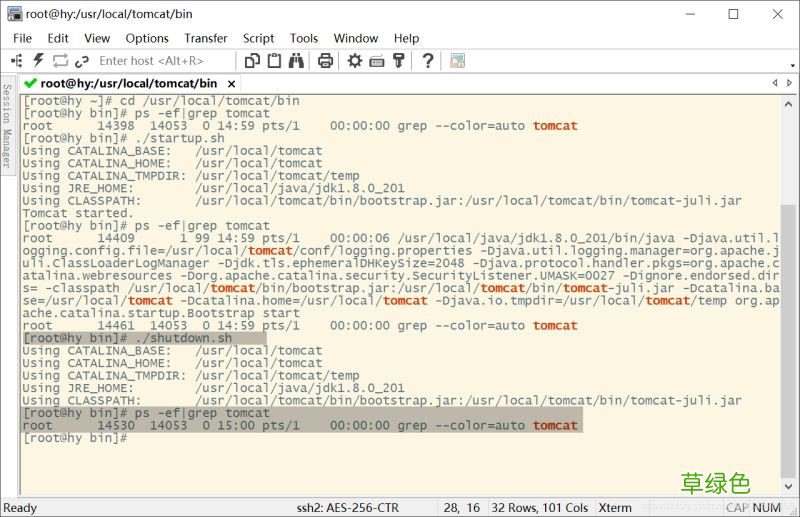 Linux安装与卸载Tomcat8的详细图文教程