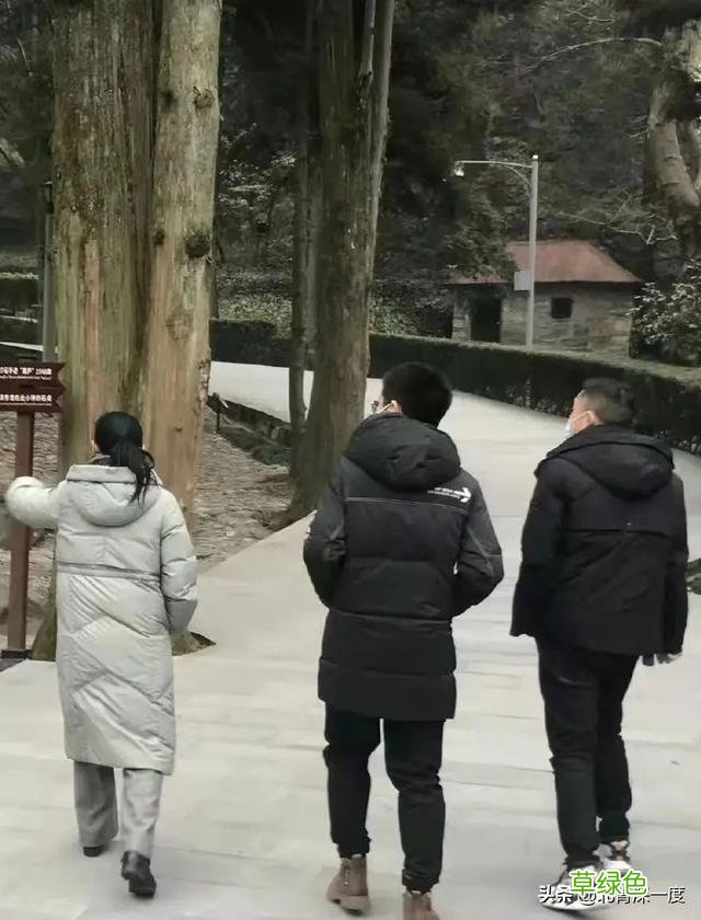 孙海洋：做回孙卓的父亲，“养父母”是他和儿子互不提及的话题 深取名字