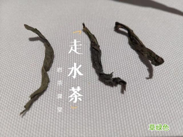 都是岩茶，为何有的三、四冲就成了白开水，有的十几冲仍有滋味？ 淳是什么水