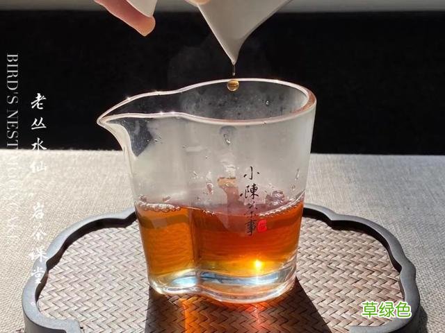 都是岩茶，为何有的三、四冲就成了白开水，有的十几冲仍有滋味？ 淳是什么水