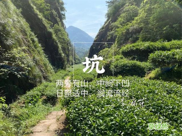 都是岩茶，为何有的三、四冲就成了白开水，有的十几冲仍有滋味？ 淳是什么水