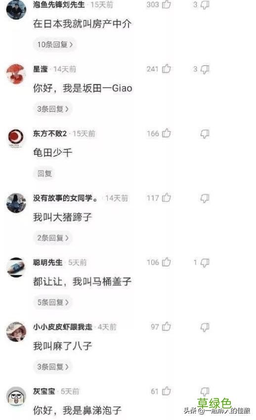 给“沙雕网友”取个日本名字…大家品味一下，哈哈哈哈 游戏名字傻