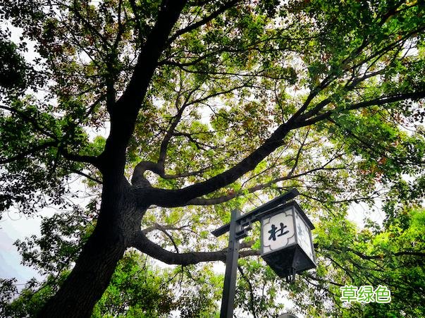 溪客行 - 灵官渡：似有仙人指路，我们总是平安渡江 灵什么好网名