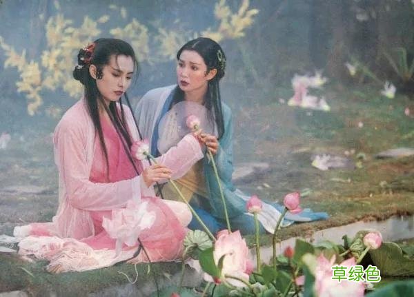 《观澄》一口气看完，这是什么神仙小说，都给我去看 澄念什么