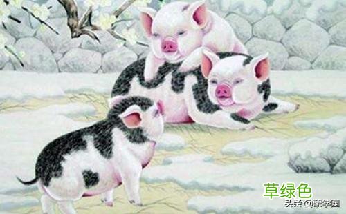 中国十二生肖谚语，活泼风趣，通俗易懂，句句在理！ 田生肖什么