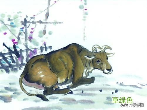 中国十二生肖谚语，活泼风趣，通俗易懂，句句在理！ 田生肖什么
