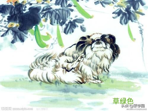中国十二生肖谚语，活泼风趣，通俗易懂，句句在理！ 田生肖什么