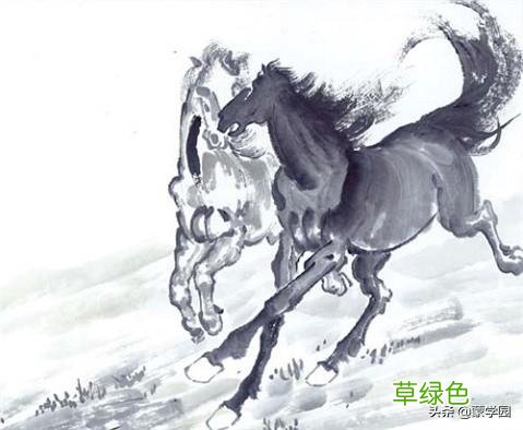 中国十二生肖谚语，活泼风趣，通俗易懂，句句在理！ 田生肖什么