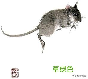 中国十二生肖谚语，活泼风趣，通俗易懂，句句在理！ 田生肖什么