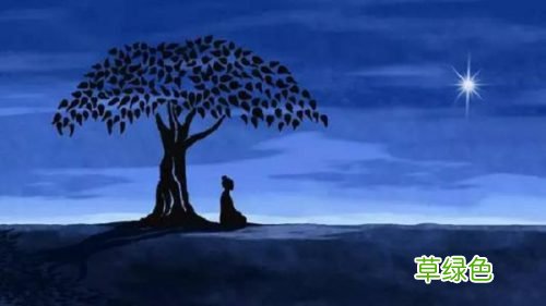 比喻爱情的诗句：菩提本无树的爱情意思