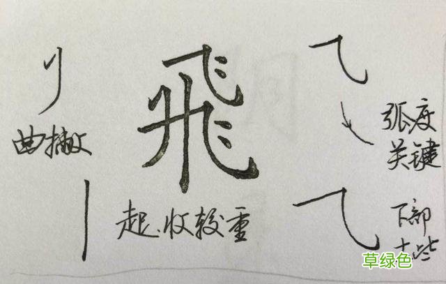 硬笔楷书《千字文》,逐字解析:飞、盘、观、宫、殿…… 燕笔画怎么写呀
