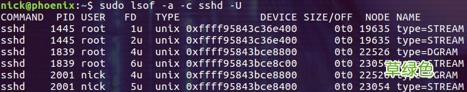Linux lsof命令使用详解