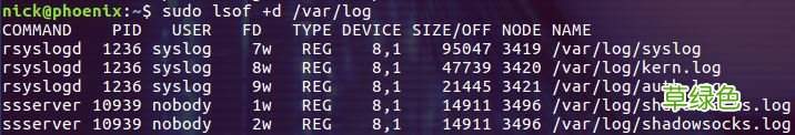 Linux lsof命令使用详解