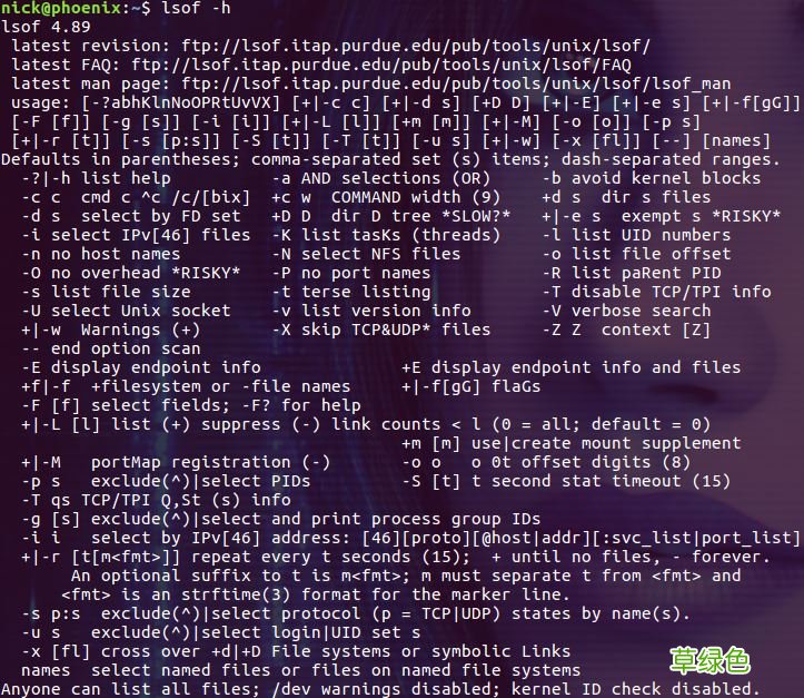 Linux lsof命令使用详解