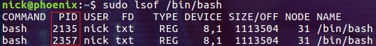 Linux lsof命令使用详解