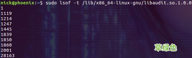 Linux lsof命令使用详解