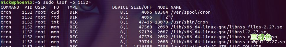 Linux lsof命令使用详解