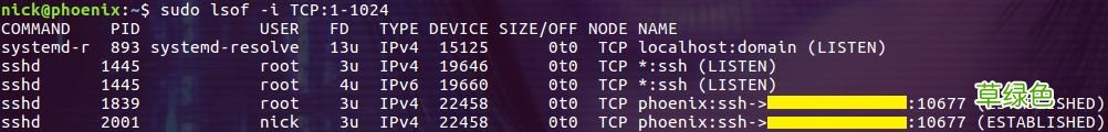Linux lsof命令使用详解