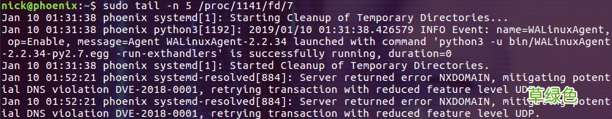 Linux lsof命令使用详解