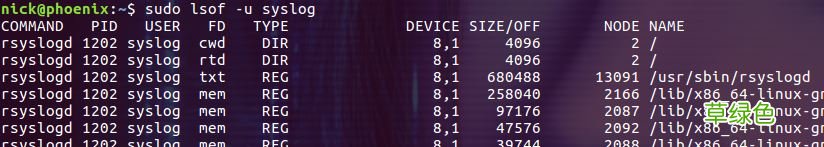 Linux lsof命令使用详解