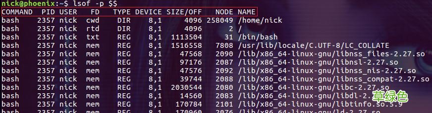 Linux lsof命令使用详解