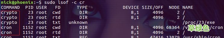 Linux lsof命令使用详解