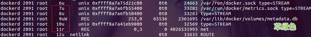 Linux lsof命令使用详解