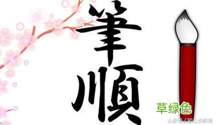 “凹凸”的笔顺是什么你知道吗？不按套路来的笔顺统统告诉你！ 琳的笔顺怎么写