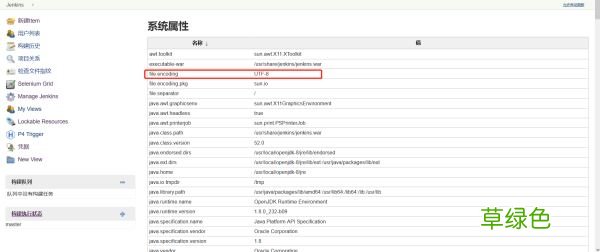 Docker环境搭建Jenkins在构建任务时控制台日志出现中文乱码的问题