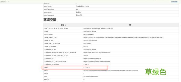 Docker环境搭建Jenkins在构建任务时控制台日志出现中文乱码的问题