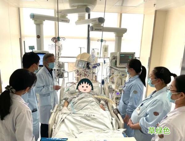 一道家常凉菜，差点要了杭州大姐的命 王己名字