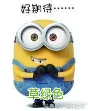 延川歌手王香云走进央视《星光大道》录制现场先睹为快 王香云名字