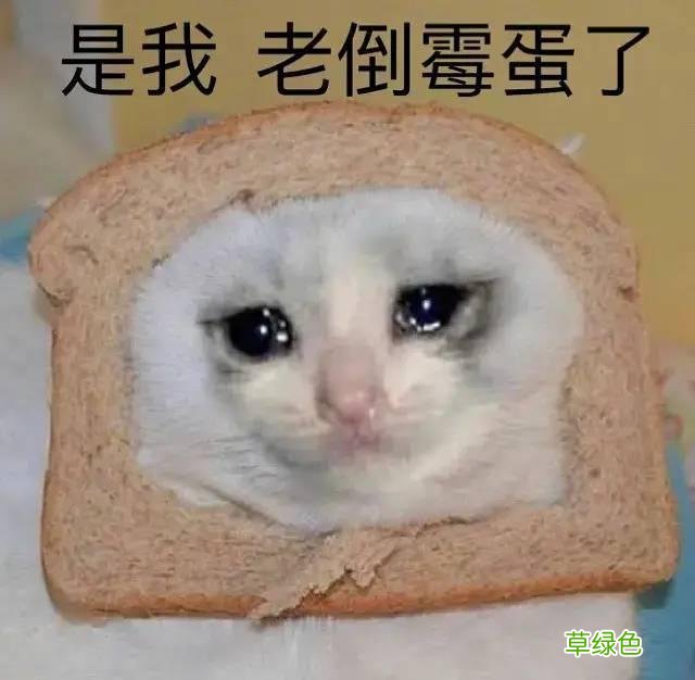 方脸短下巴，眼距宽怎么办？不动刀也能改善 短下巴怎么好看