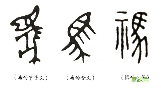 《说文解字》第11课：带“示”的汉字，都有这些意思 祈字怎么写