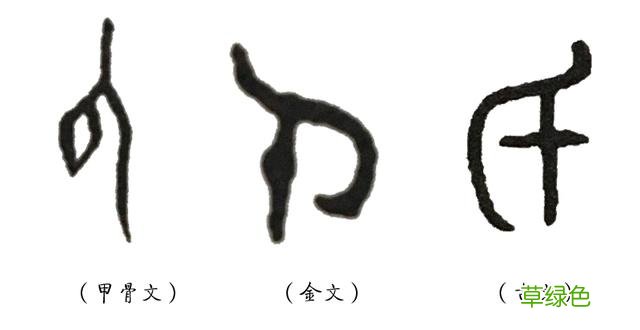 《说文解字》第四课:先民们如何在汉字里表达对幸福的向往 祺怎么拼音