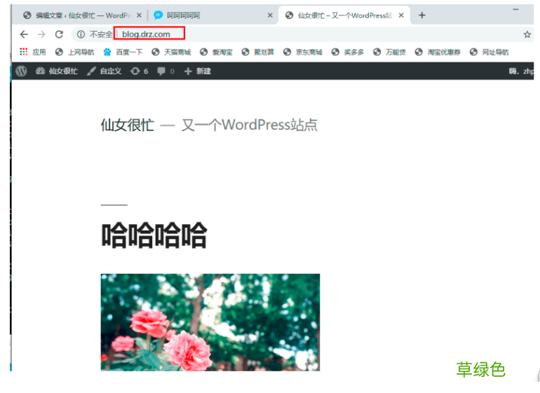 通过nginx实现方向代理过程图解