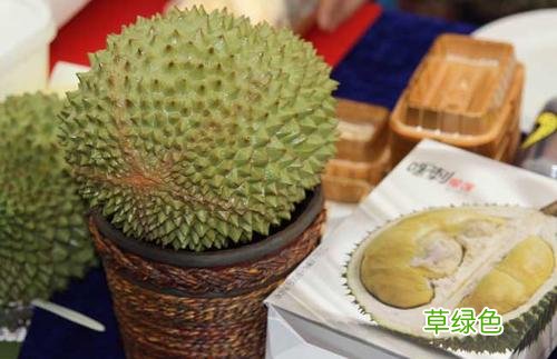 四叶莲多少钱 留莲价格多少钱